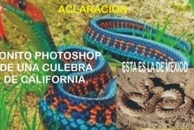 ACLARACIÃ“N. jigsaw puzzle