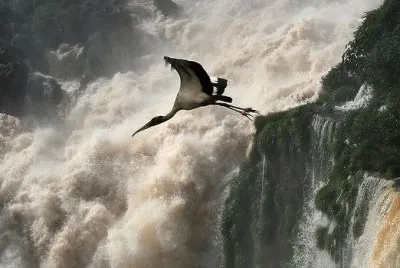 Cataratas del IguazÃº. Misiones. Argentina