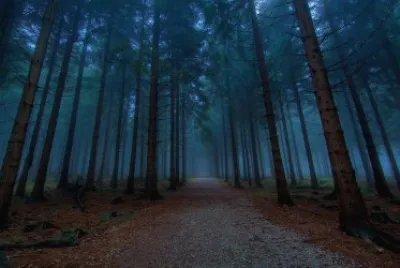 paisajes