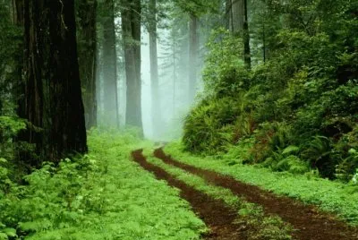 paisajes