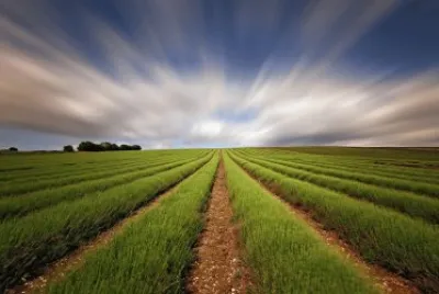 paisajes