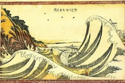 31