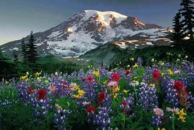 פאזל של paisajes