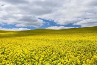 paisajes