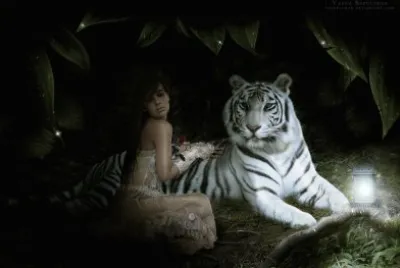 paisajes jigsaw puzzle