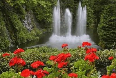 paisajes jigsaw puzzle