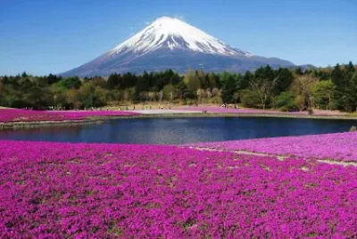 El Fujiyama. JapÃ³n