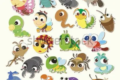 insectos