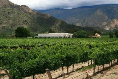 פאזל של Cerca de Cafayate. Salta. Argentina