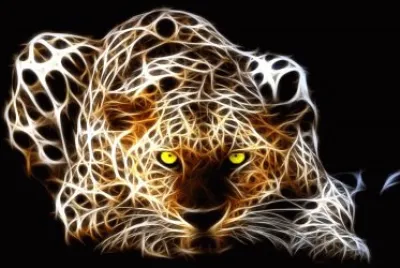 felino