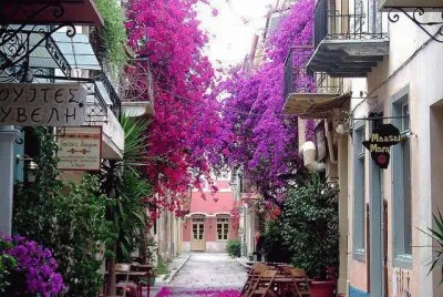 paisaje jigsaw puzzle