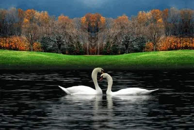 paisajes