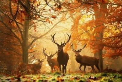 paisajes