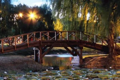 Resistencia. Chaco. Argentina jigsaw puzzle