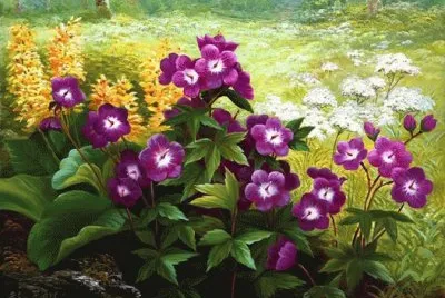flores