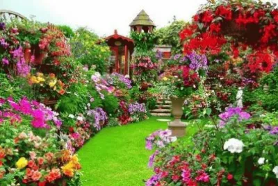 פאזל של jardim