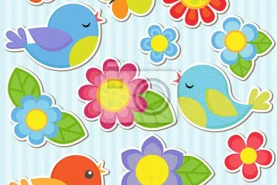 pajaros