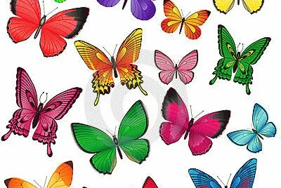 mariposas