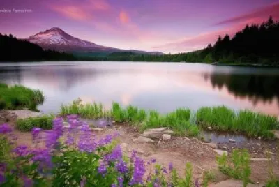 LAGUNA jigsaw puzzle