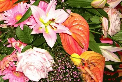פאזל של Flors