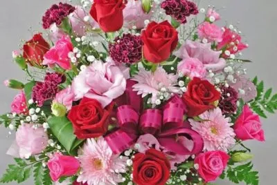 פאזל של rosas