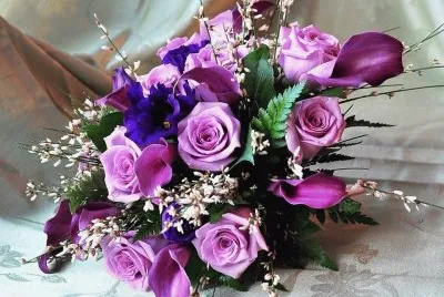 פאזל של rosas
