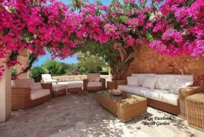 פאזל של recanto