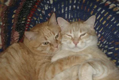 פאזל של MOMMY_AND_SON