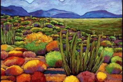 Arizona Desert Tucson