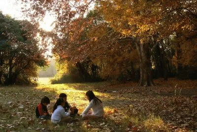 En el parque. Mendoza. Argentina