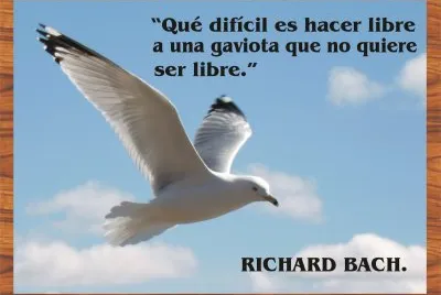 RICHARD BACH. jigsaw puzzle