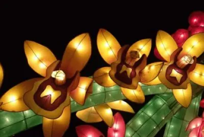 luz