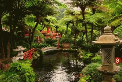 פאזל של paisaje