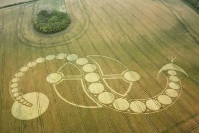 crop circle 2