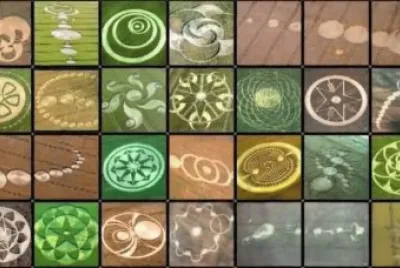 crop circle group