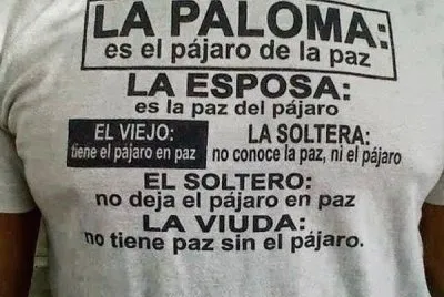 El pÃ¡jaro