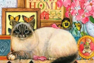 gato