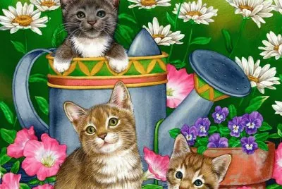 gatinhos