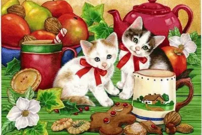 gatinhos