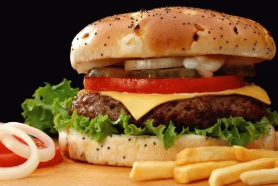 Hamburguesa jigsaw puzzle