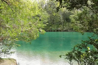 PN Los Alerces. Chubut. Argentina