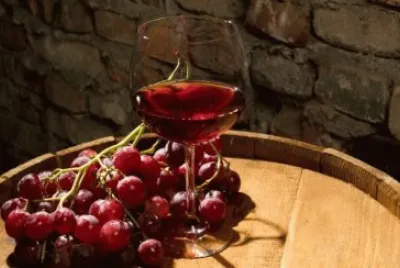 Vinos