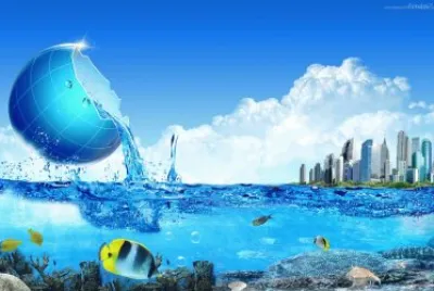 Peces jigsaw puzzle