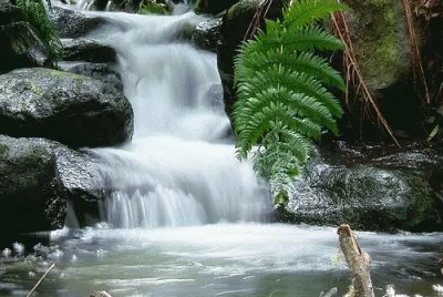 RÃ­o Negro. Argentina