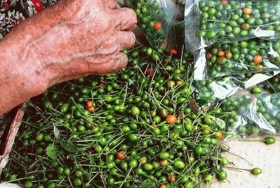 Chiles