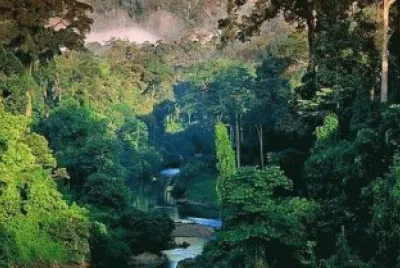 Amazonia