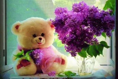 urso