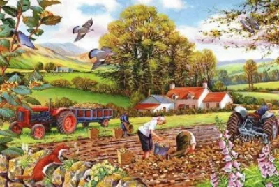 roÃ§a jigsaw puzzle