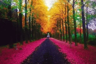 paisaje