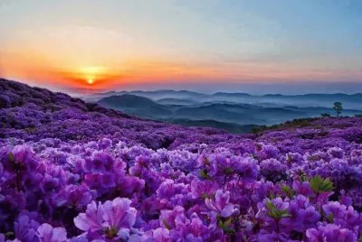 paisagem